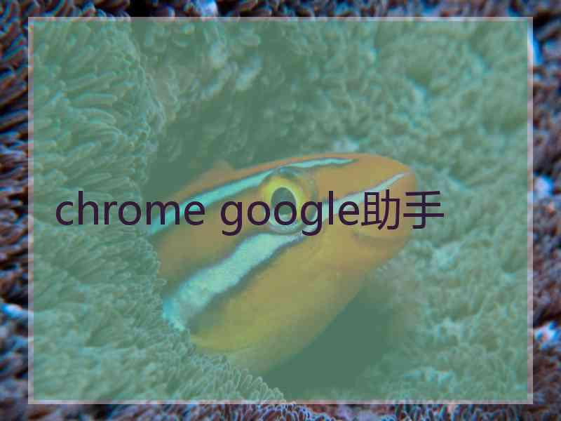chrome google助手