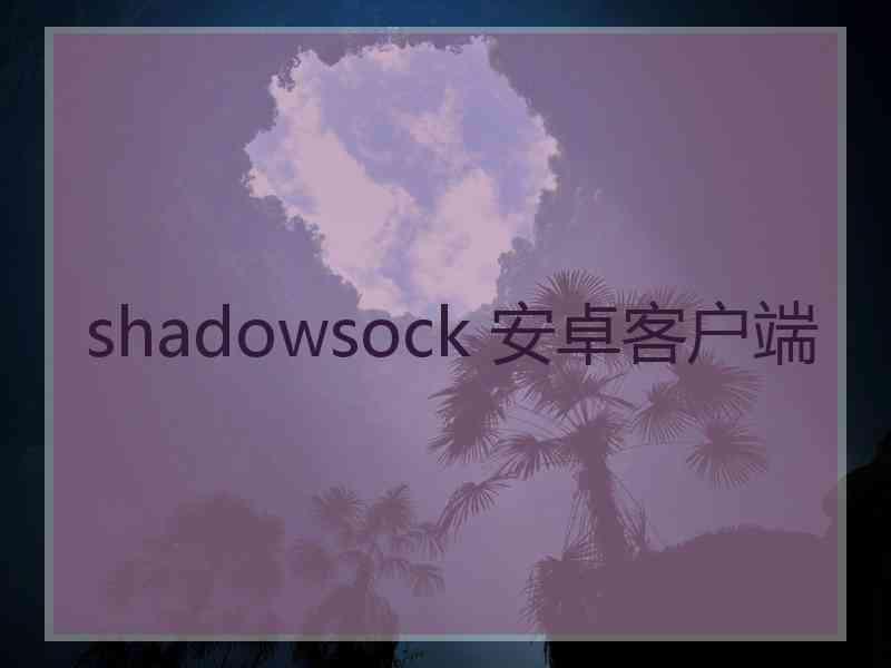 shadowsock 安卓客户端