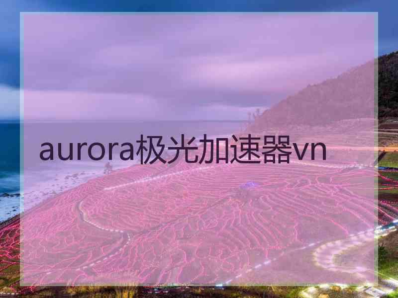 aurora极光加速器vn