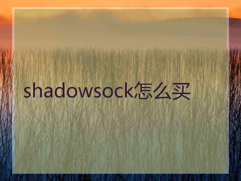 shadowsock怎么买