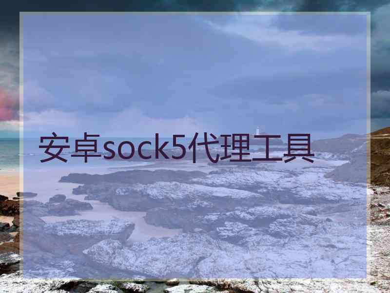 安卓sock5代理工具