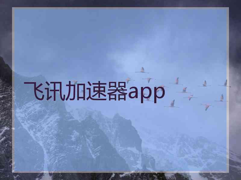 飞讯加速器app