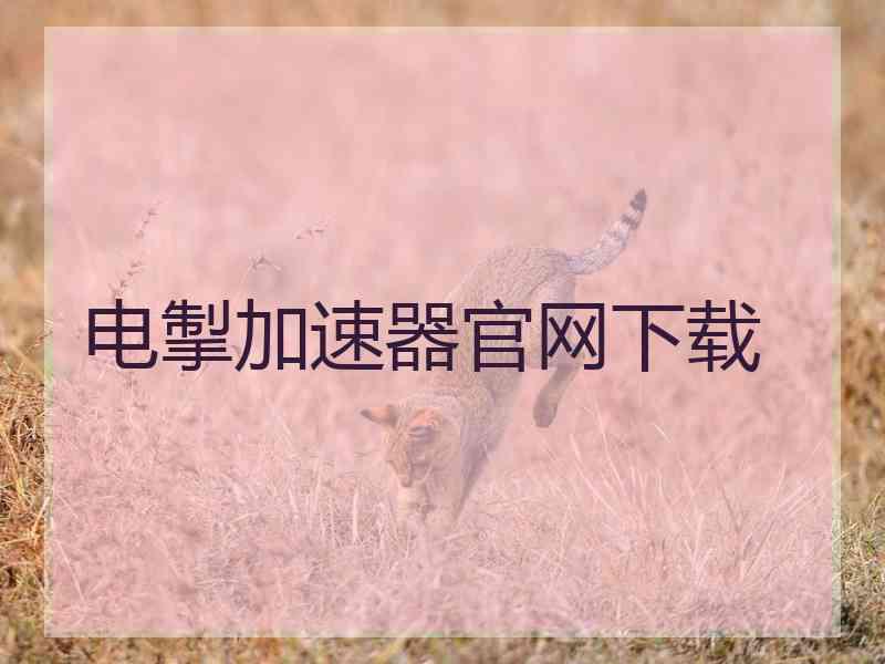电掣加速器官网下载