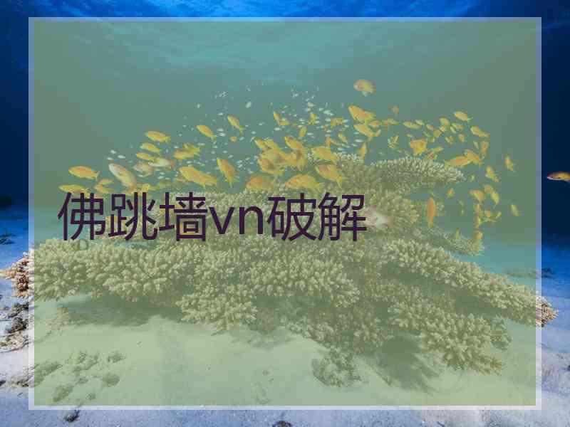 佛跳墙vn破解
