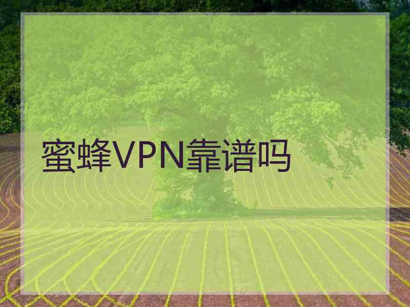 蜜蜂VPN靠谱吗