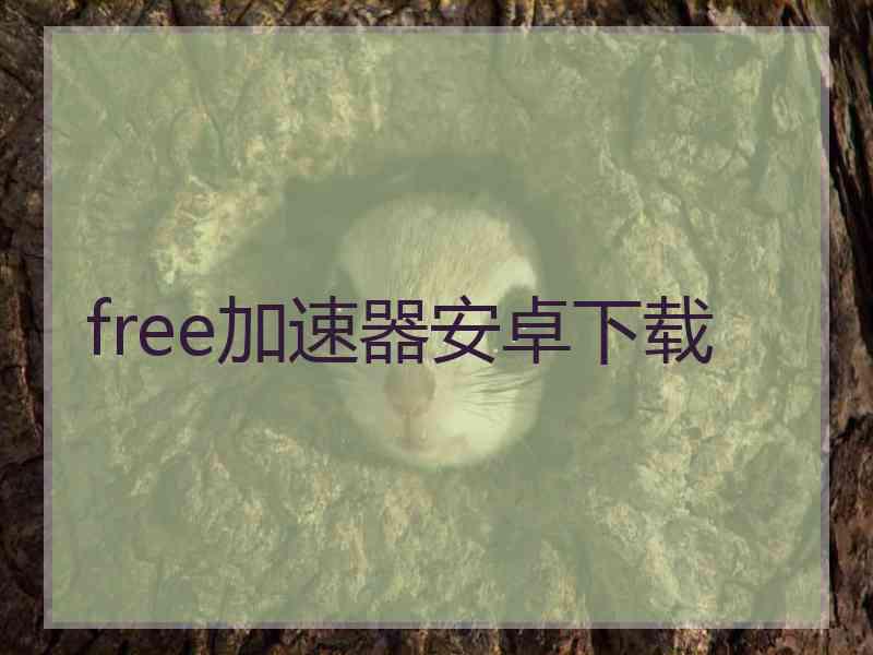free加速器安卓下载