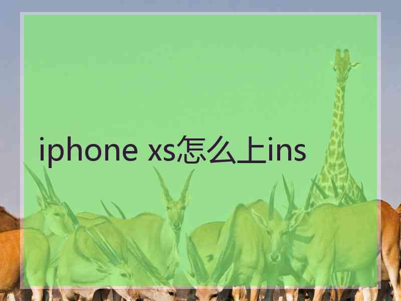 iphone xs怎么上ins