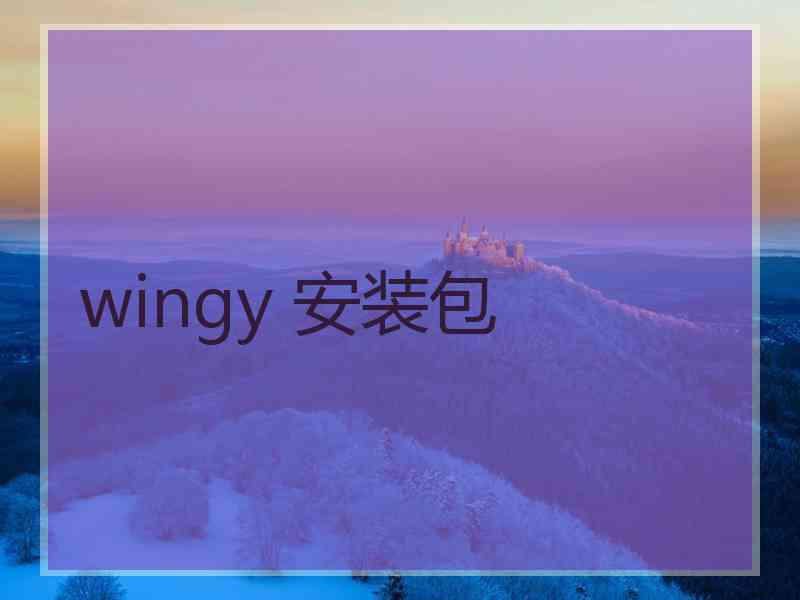 wingy 安装包