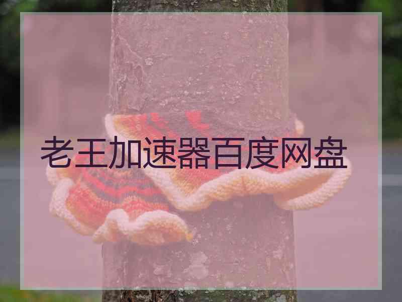 老王加速器百度网盘