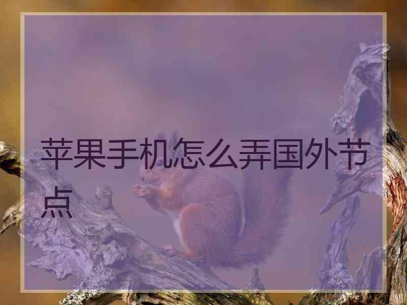苹果手机怎么弄国外节点