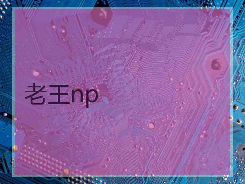 老王np