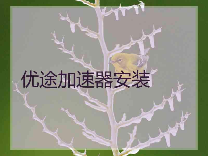 优途加速器安装