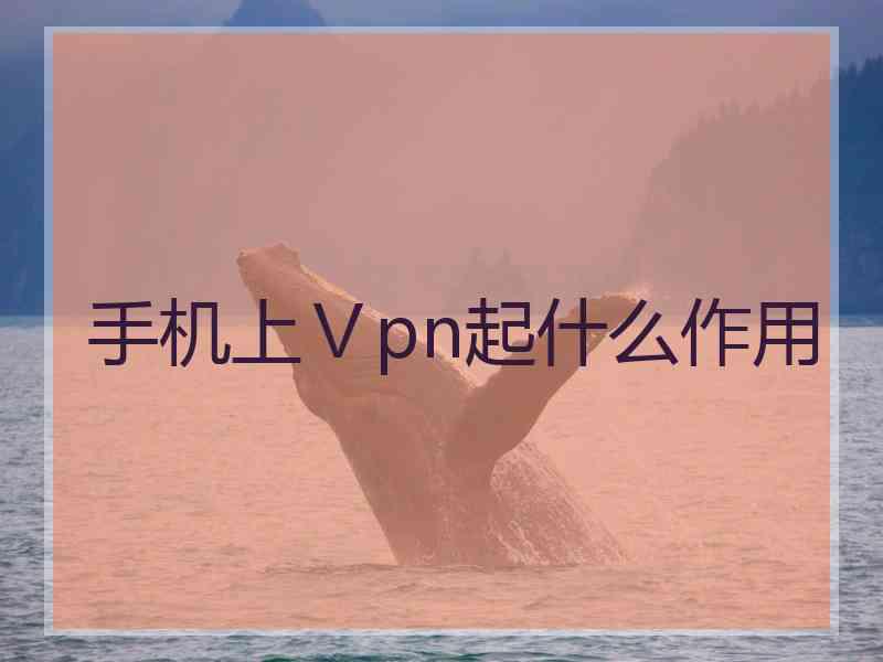 手机上Ⅴpn起什么作用