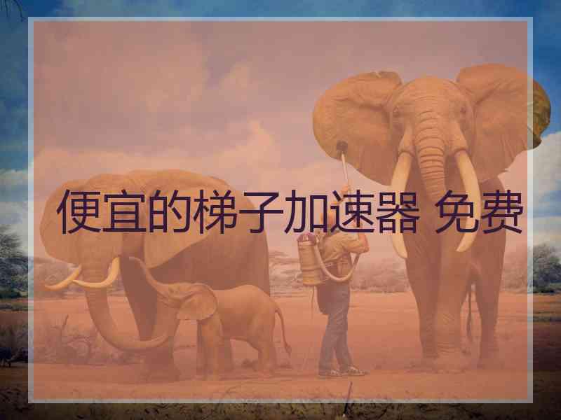 便宜的梯子加速器 免费