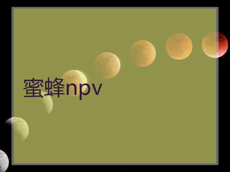 蜜蜂npv