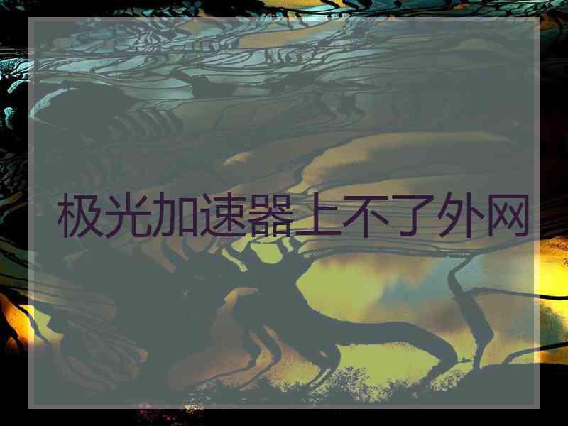 极光加速器上不了外网