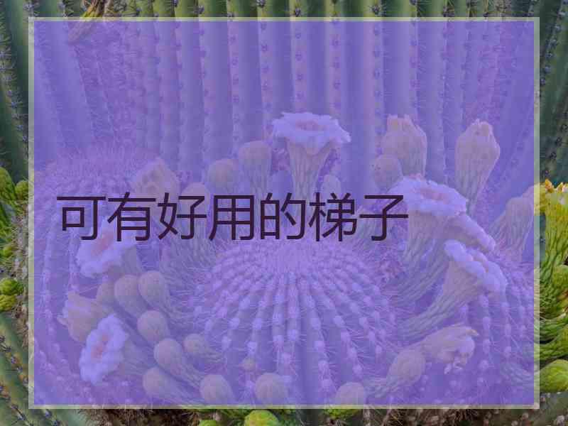 可有好用的梯子