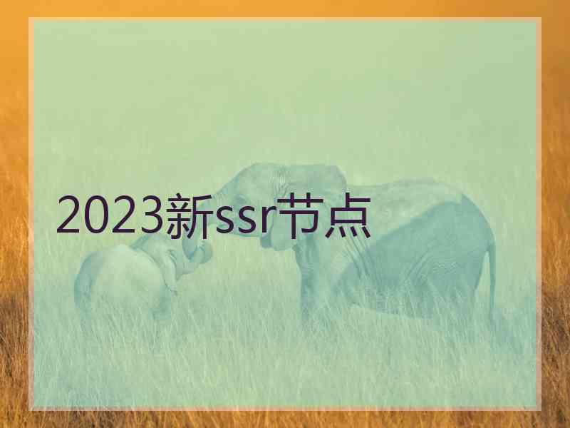 2023新ssr节点