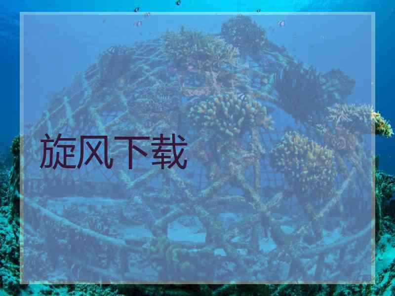 旋风下载
