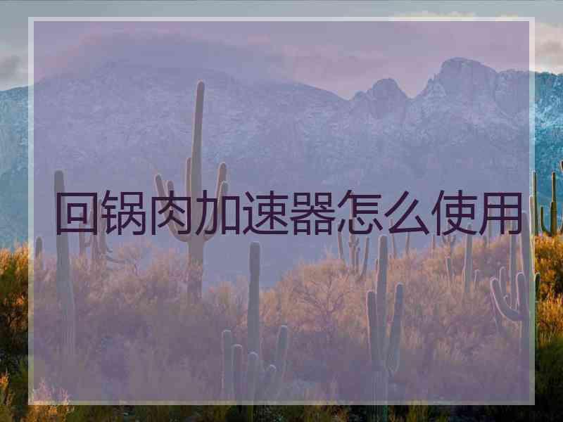 回锅肉加速器怎么使用