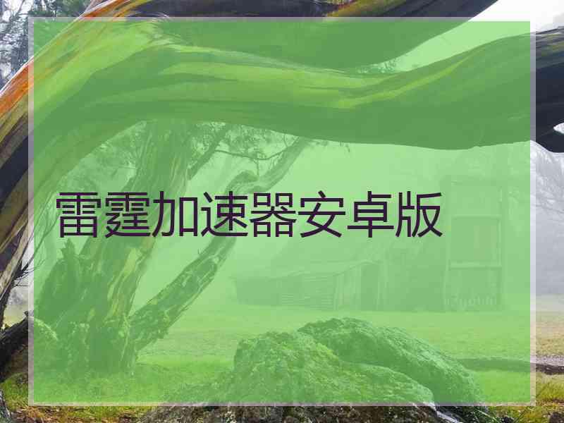 雷霆加速器安卓版