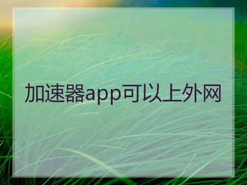 加速器app可以上外网