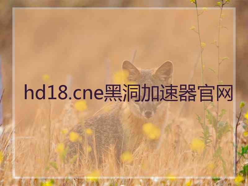hd18.cne黑洞加速器官网