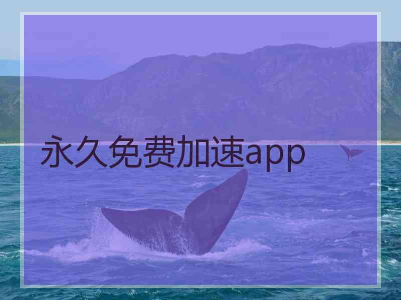 永久免费加速app