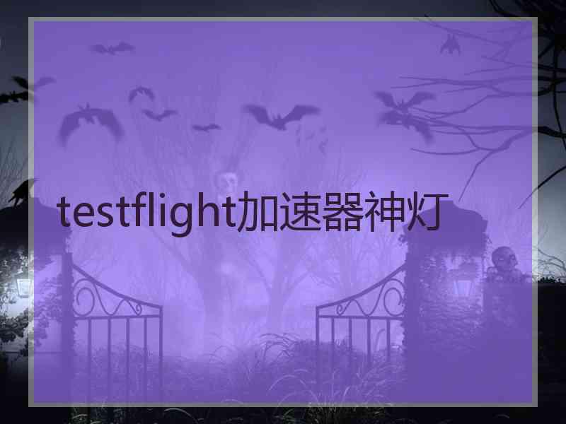 testflight加速器神灯