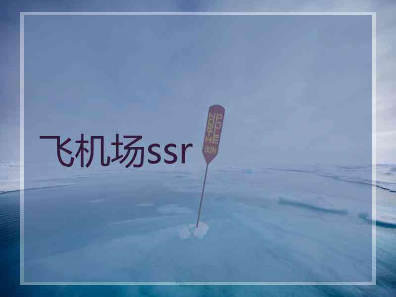 飞机场ssr