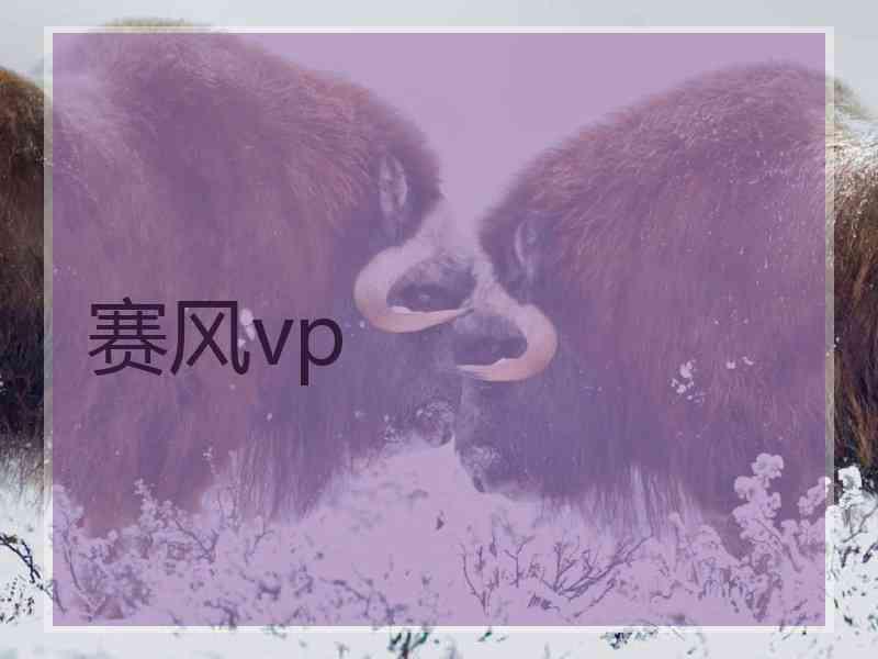 赛风vp