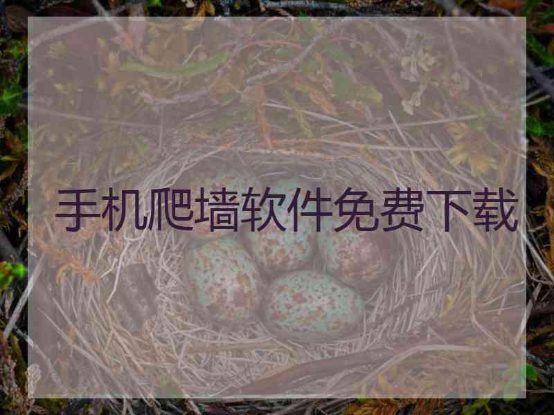 手机爬墙软件免费下载