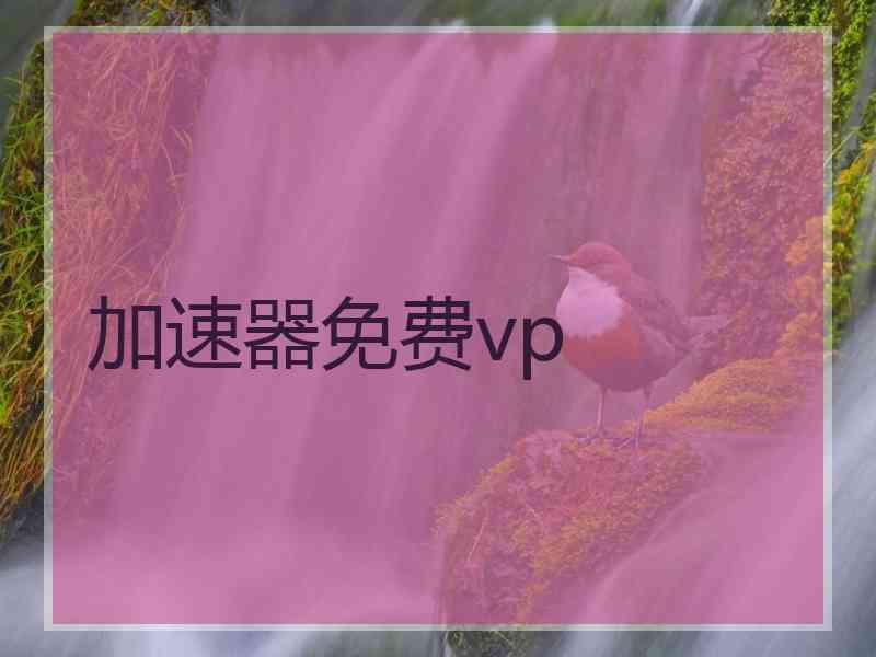 加速器免费vp