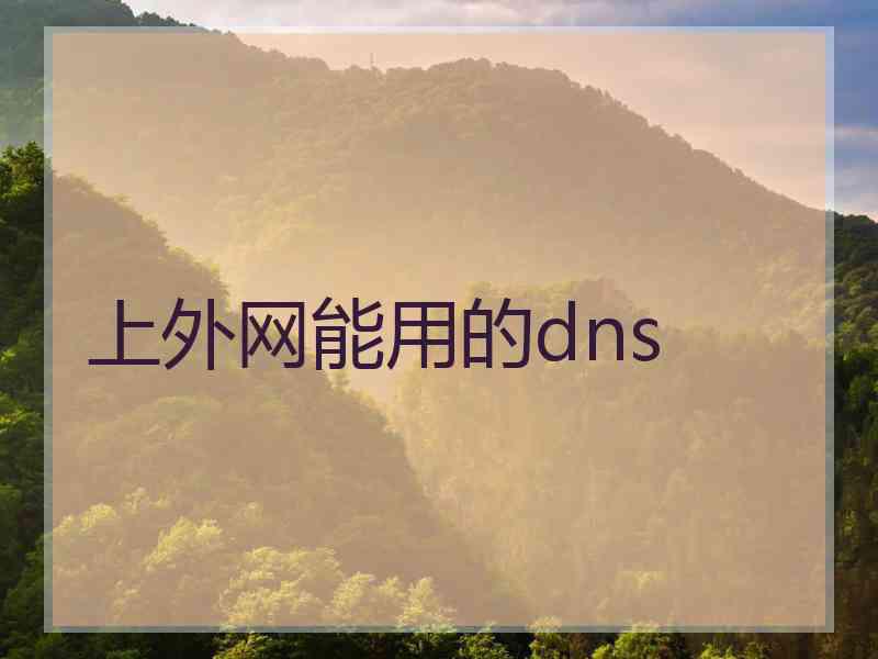 上外网能用的dns