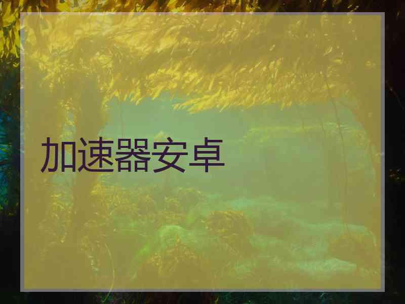 加速器安卓