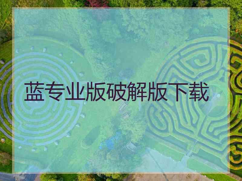 蓝专业版破解版下载