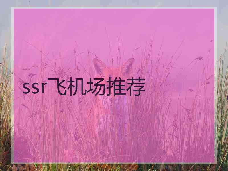 ssr飞机场推荐