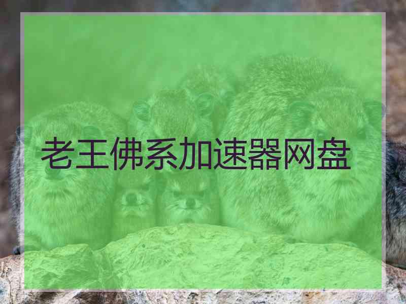 老王佛系加速器网盘