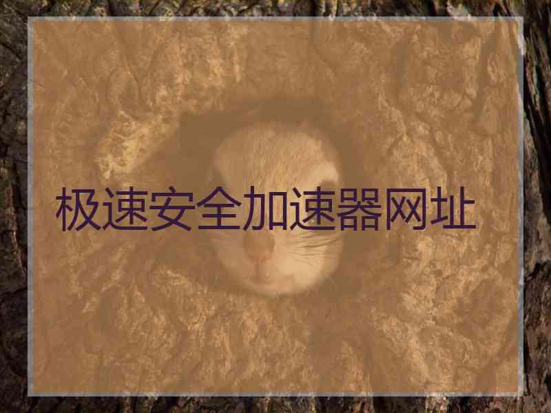 极速安全加速器网址