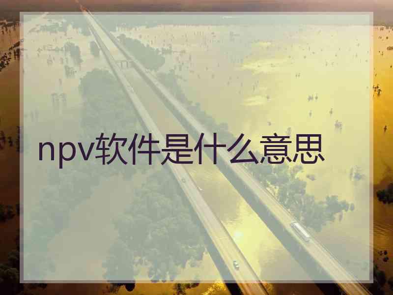 npv软件是什么意思