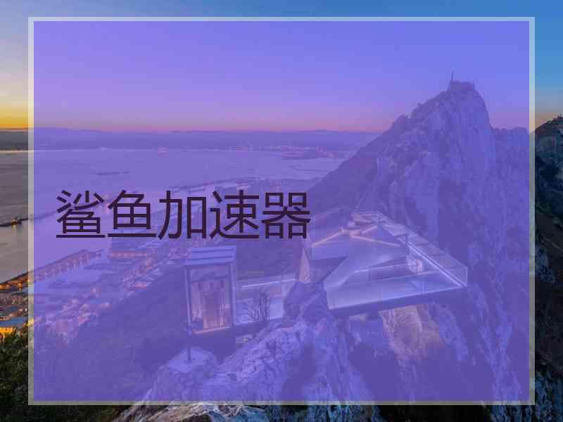 鲨鱼加速器