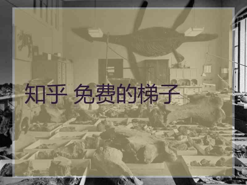 知乎 免费的梯子