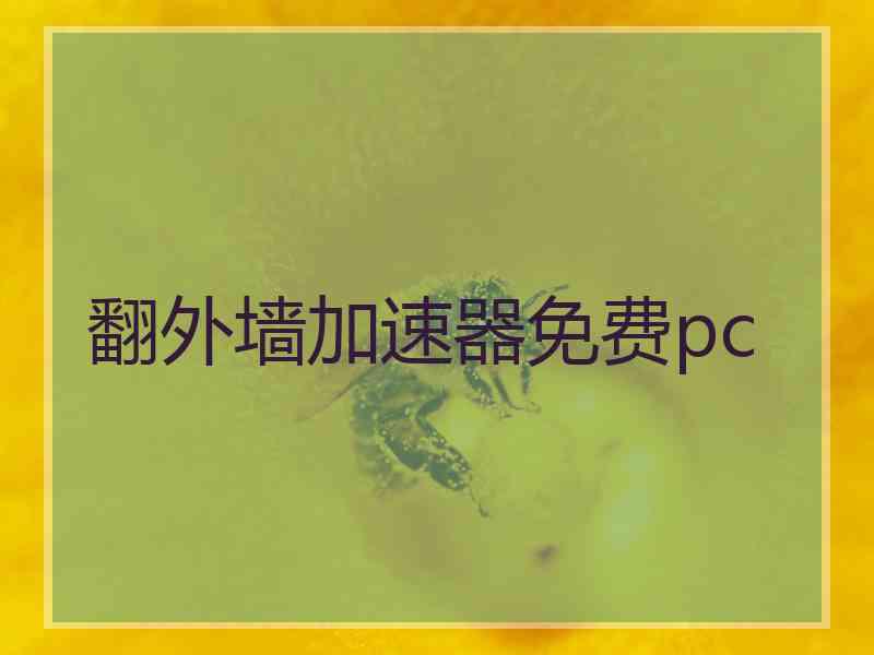 翻外墙加速器免费pc