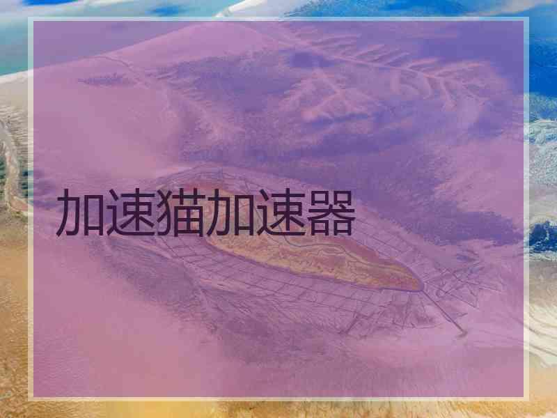 加速猫加速器