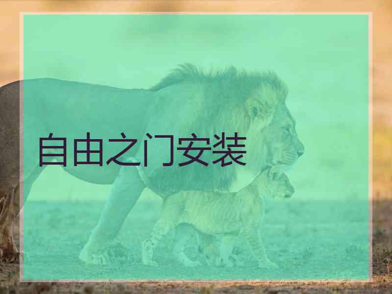 自由之门安装