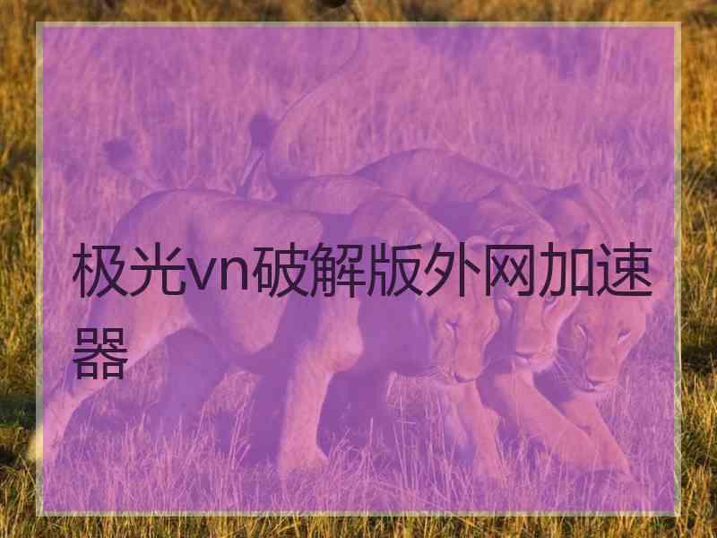 极光vn破解版外网加速器