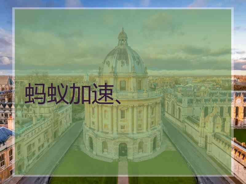 蚂蚁加速、
