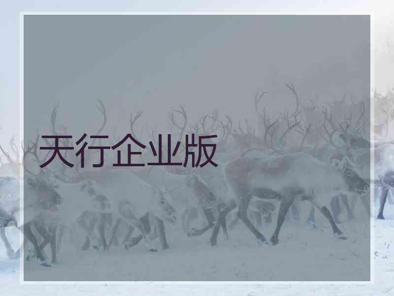 天行企业版