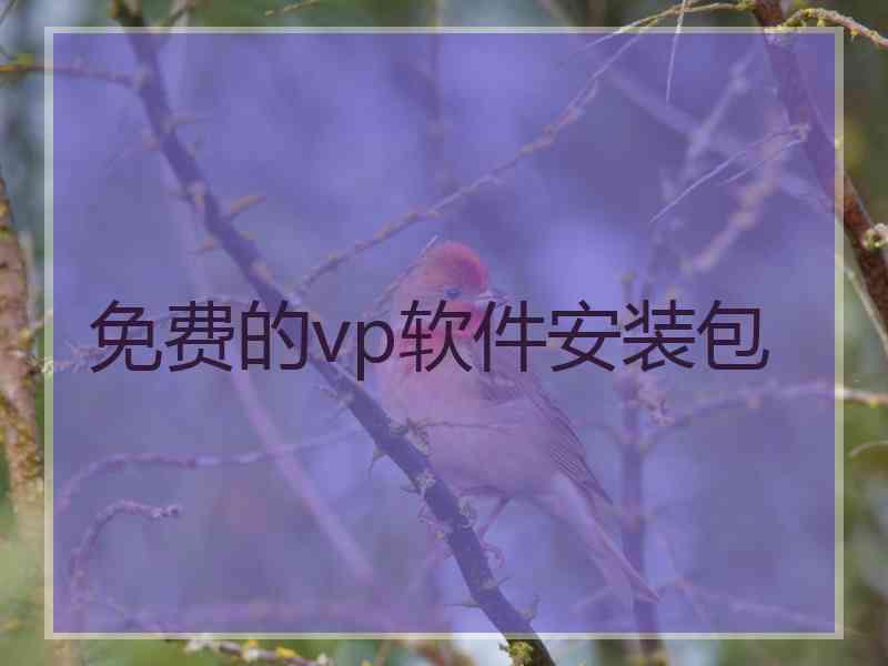 免费的vp软件安装包