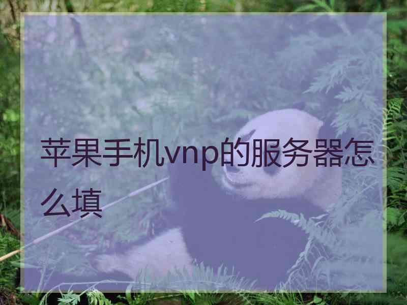 苹果手机vnp的服务器怎么填